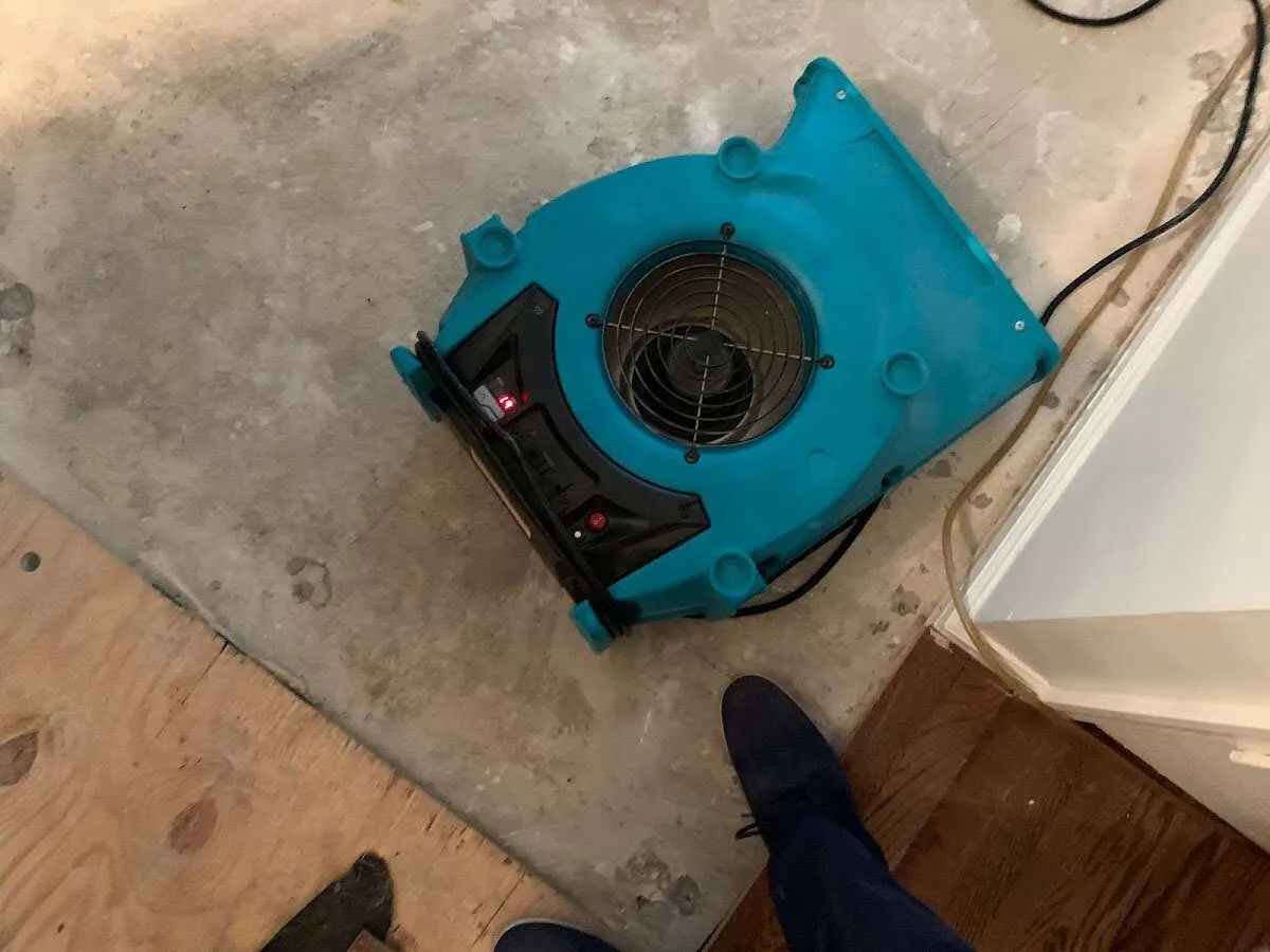 Air mover drying subfloor during Commercial Water Damage Restoration in Victoria